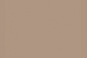Mikro225